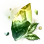 [Event] Transform Crystal icon