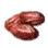 Dried Date Palm icon