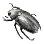 Black Scarab icon
