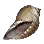 [Event] Faded Turban Shell icon