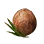 [Event] Terrmian Coconut icon