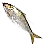 Sunset Gizzard Shad icon