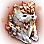 [Event] Fox Cub icon