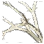 Kamasylve Branch icon