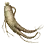 Lush Frail Lakiaro icon