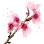 [Event] Vibrant Cherry Blossom Branch icon