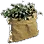 [Event] Fresh Veggie Bundle icon