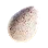 [Event] Turkey Egg icon