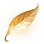 [Event] Golden Leaf icon