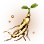 [Event] 7-year Wild Ginseng icon