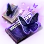 [Event] Secret Scroll of Black Butterfly icon