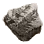 Traces of Time Fossil Fragment icon
