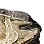 Fine Fossil Fragment II icon
