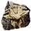 Ancient Creature's Fossil icon
