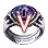 PEN (V) Shifty Eye of the Ruins Ring icon