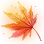 [Season] Sunset Maple Leaf icon