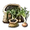 Bundle of 10 Onion Seeds icon