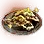 [Event] Fish Scale and Oyster Gratin icon