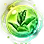 Blessing of Fragrant Wind icon