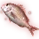 [Event] Red Seabream icon