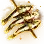 [Event] Yellow Corvina of Golden Fortune icon