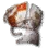 Black Mane's Shield icon
