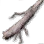 Black Mane's Club icon