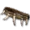 Gehaku's Waist Accessory icon
