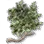 Branch Imbued with Forest Magic icon