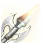 Shimmering Spear icon