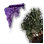 Awakened Dim Tree Spirit Summon Scroll Piece icon