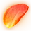 Dawnwish Petal icon