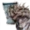 Saunil Siege Captain Summon Scroll icon