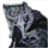 Awakened Black Spirit Summon Scroll icon