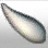 Samoga's Molar icon