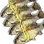 Stinky Fish icon