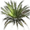 Weed from the Herb Garden icon
