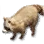 Tame Raccoon icon