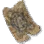 Witch's Magic Amulet icon
