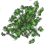 Green Herb icon