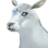Baby Malofinus icon