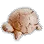 Wooden Sea Turtle icon