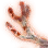 Bloodstained Ronaros Horn icon