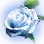 Moonlight Delotia icon