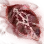 Quturan's Ashen Leaf icon