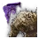 Giant Mudster Summon Scroll Piece icon