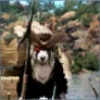Shir's Clue: Pirate icon