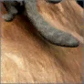 Shir's Clue: Big Castle icon