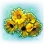 Shimmering Wildflower icon