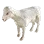 Captured Sheep icon